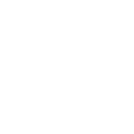extravis