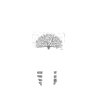 ideas Foundation